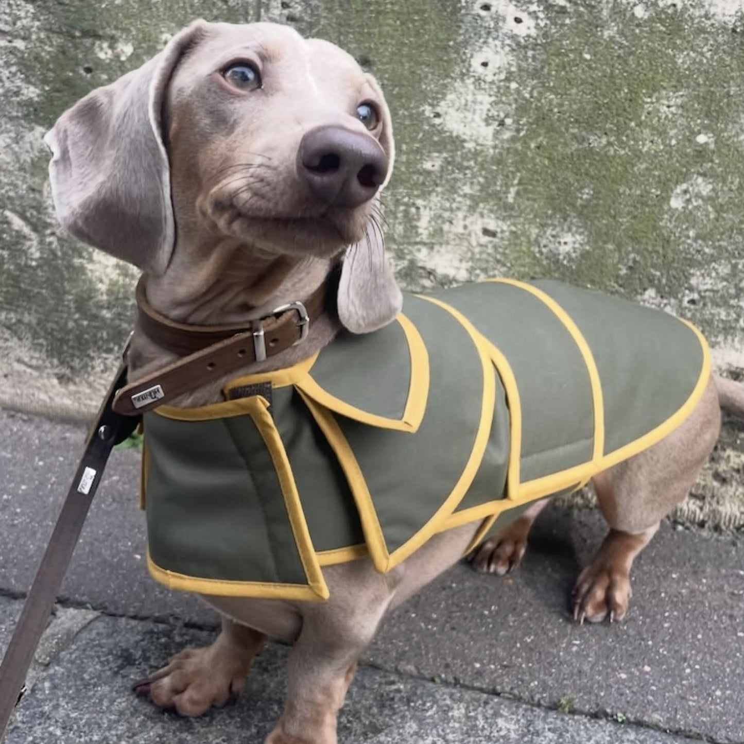 RUE MONSIEUR LE PRINCE